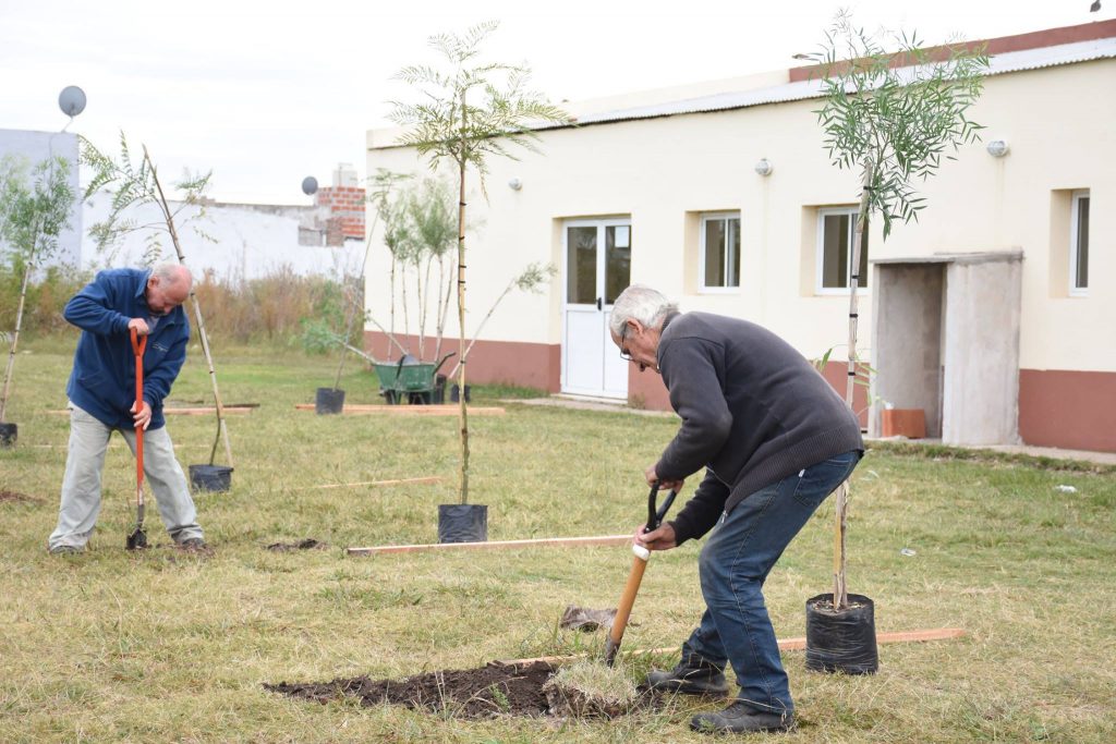 Programa Plantá tu Árbol