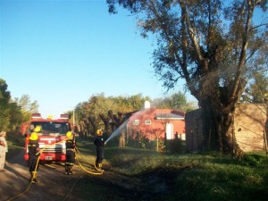 Los Bomberos sofocando el fuego del árbol.