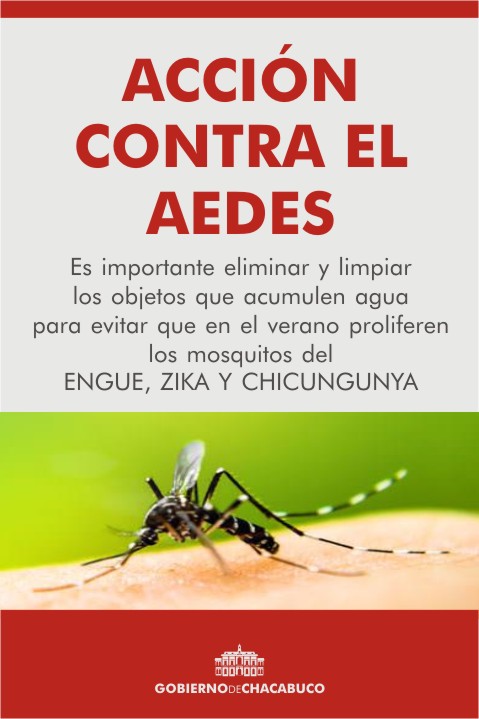 Salud: sin mosquitos no hay Dengue