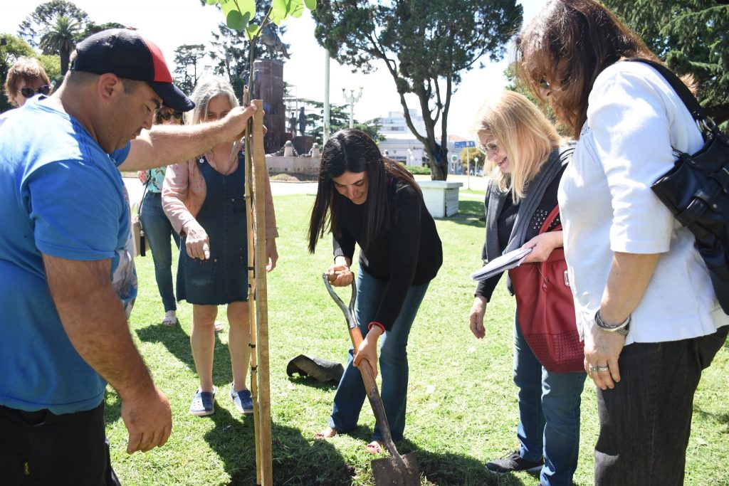 Conciencia medioambiental: continúa el programa de reforestación