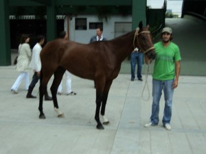 Rodrigo del Campo junto a Citi Gold, de Diego Cavanagh, en la entrega de premios.