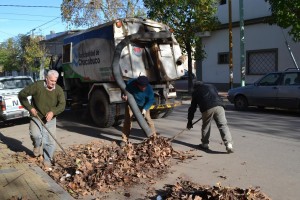 Volvió a funcionar la barredora.