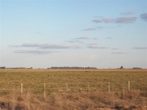 Los precios en los campos productivos de la Argentina llegan a 30 mil dólares la hectárea.