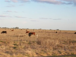 Impacto negativo tendrá el impuestazo en Chacabuco.