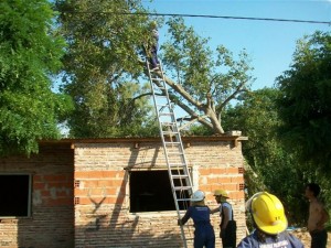 Bomberos Voluntarios de Castilla retirando un árbol de un domicilio.