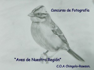 Concurso de fotografía en Rawson.