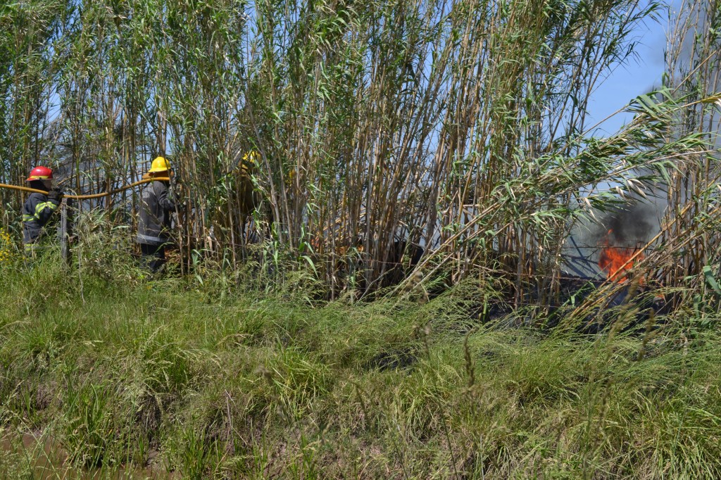 Capacitación en incendios de malezas.