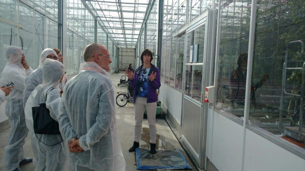 Técnicos argentinos en Holanda.