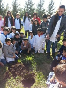 Programa de Forestación Participativa.