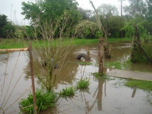 Serios problemas con el agua en Castilla.