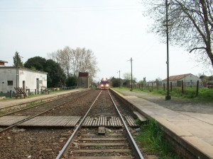 El concejal Felice pide por restitución de frecuencias del Tren de Pasajeros.