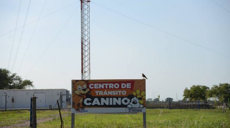 Centro de Tránsito Canino